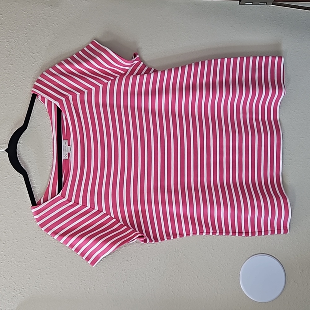 Dressbarn Women's Pink and White Striped Plus Size Short Sleeve Top Size 1X